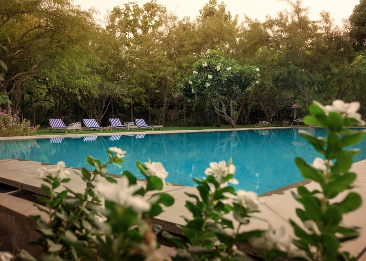 Pushkarorganic - Lux Farm Resort With Pool Exterior photo